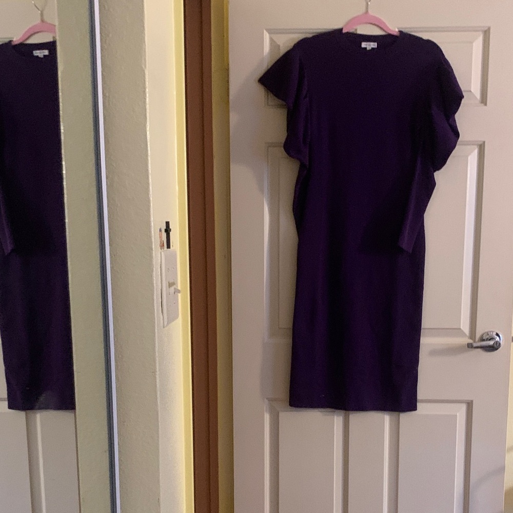 NWT Area Stars Chic Long Sleeve Purple Dress
